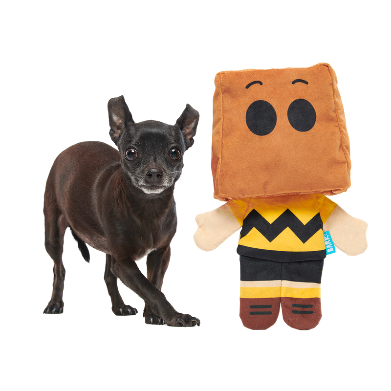 Dr. Jekyll & Mr. Sack Plush Extra-Large + Tug Dog Toy