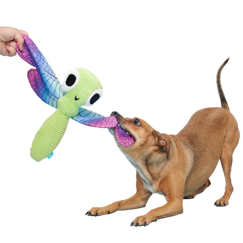Dragonfly Guy Plush Extra-Large + Tug Dog Toy