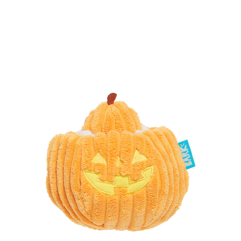 Eek-a-Boo Pumpkin Plush Enrichment Dog Toy
