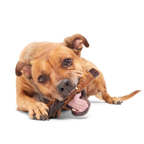 Beefy Chewin' Collagen Chew & Bully Stick