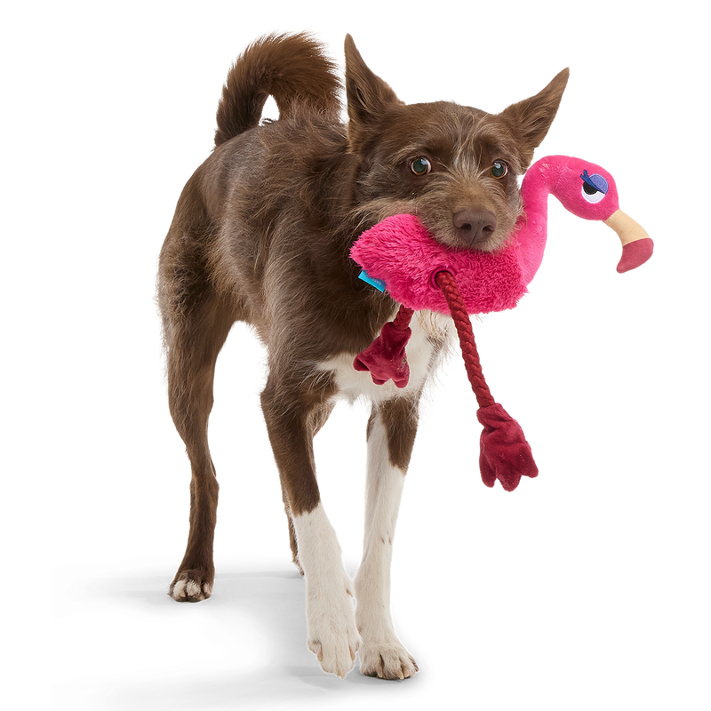 Fahari Flamingo Plush Extra-Large + Tug Dog Toy