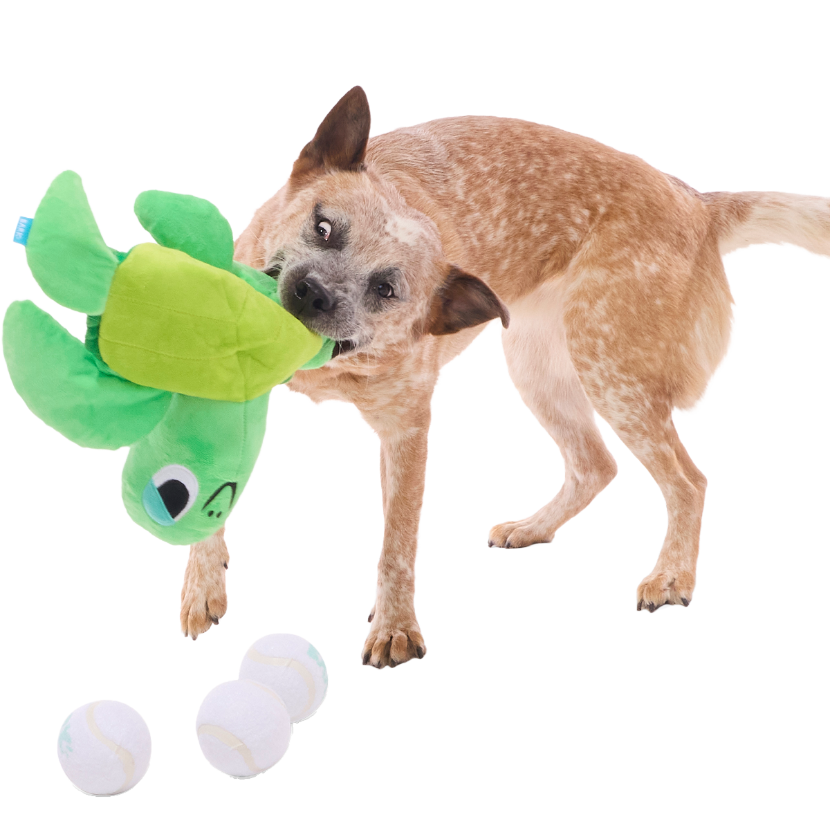 Fertile Myrtle Plush Extra-Large + Multi-Part + Fetch Dog Toy