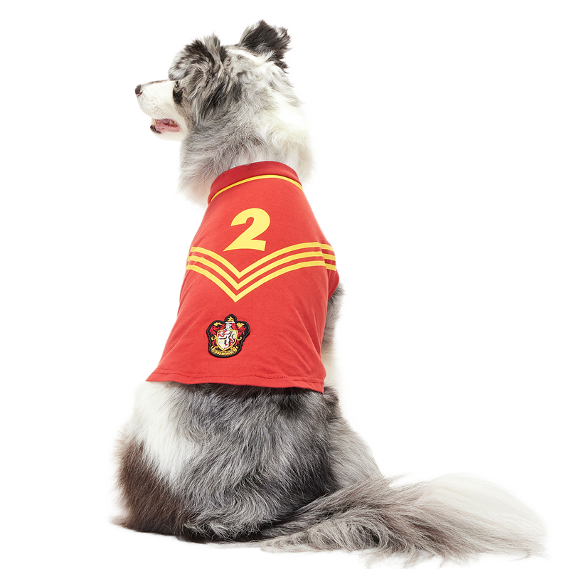 Quidditch™ Jersey