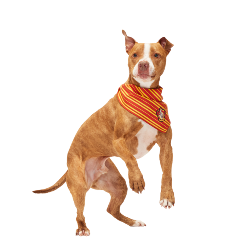 HARRY POTTER™ House Dog Bandana