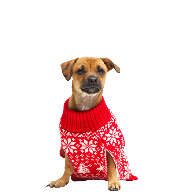 Holiday Sweater Wearable For Dogs