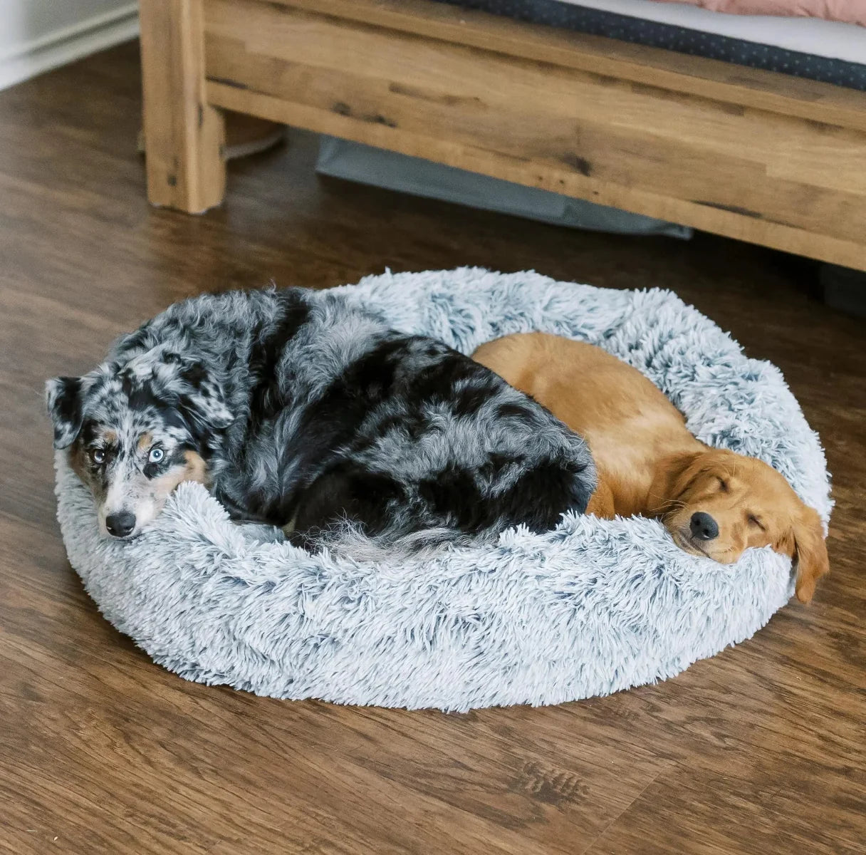 Cuddler Bed