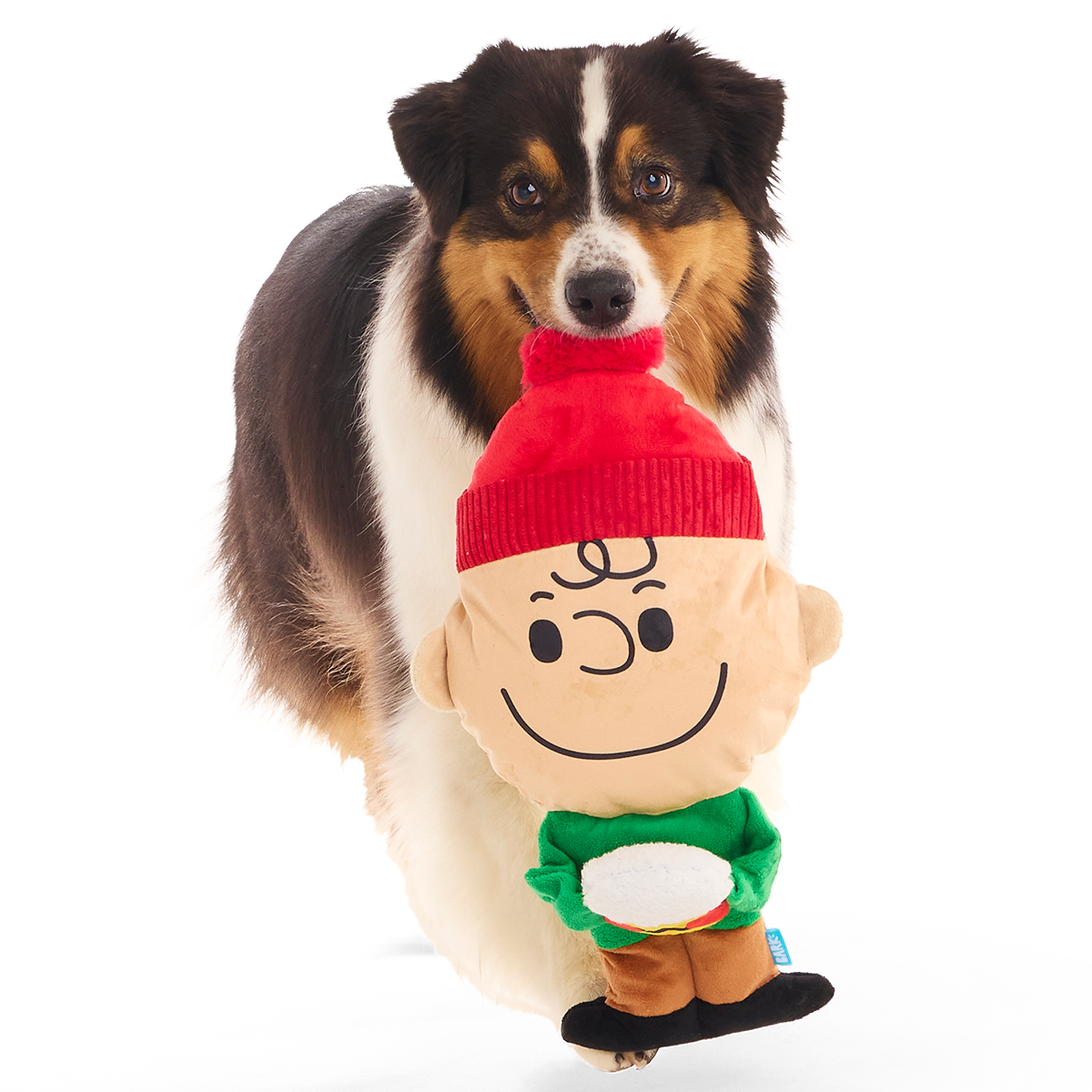 Hot Chocolate Charlie Brown Plush Extra-Large + Tug Dog Toy