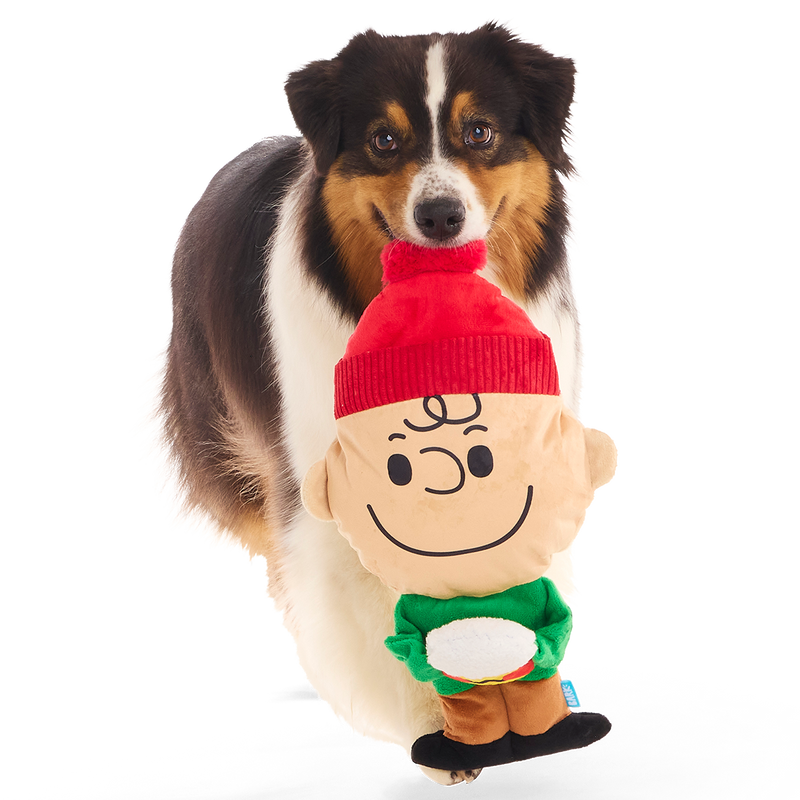 Hot Chocolate Charlie Brown Plush Extra-Large + Tug Dog Toy