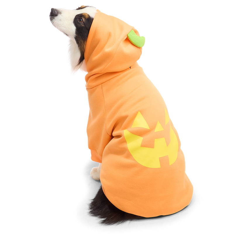 Jack O'Lantern Dog Hoodie