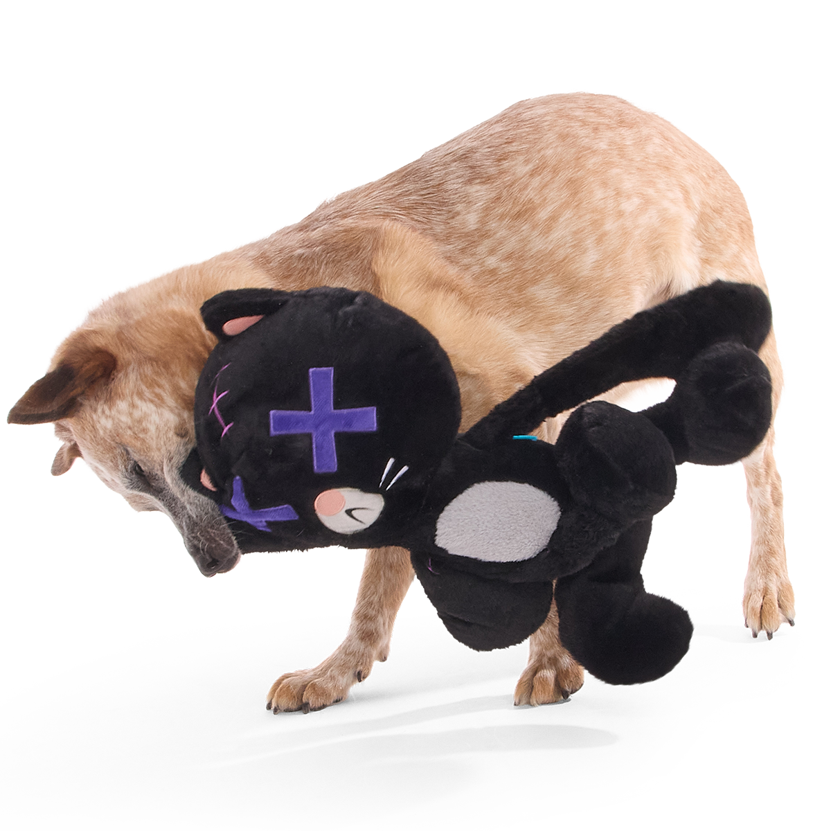 Kolossal Klaus Plush Extra-Large + Tug Dog Toy