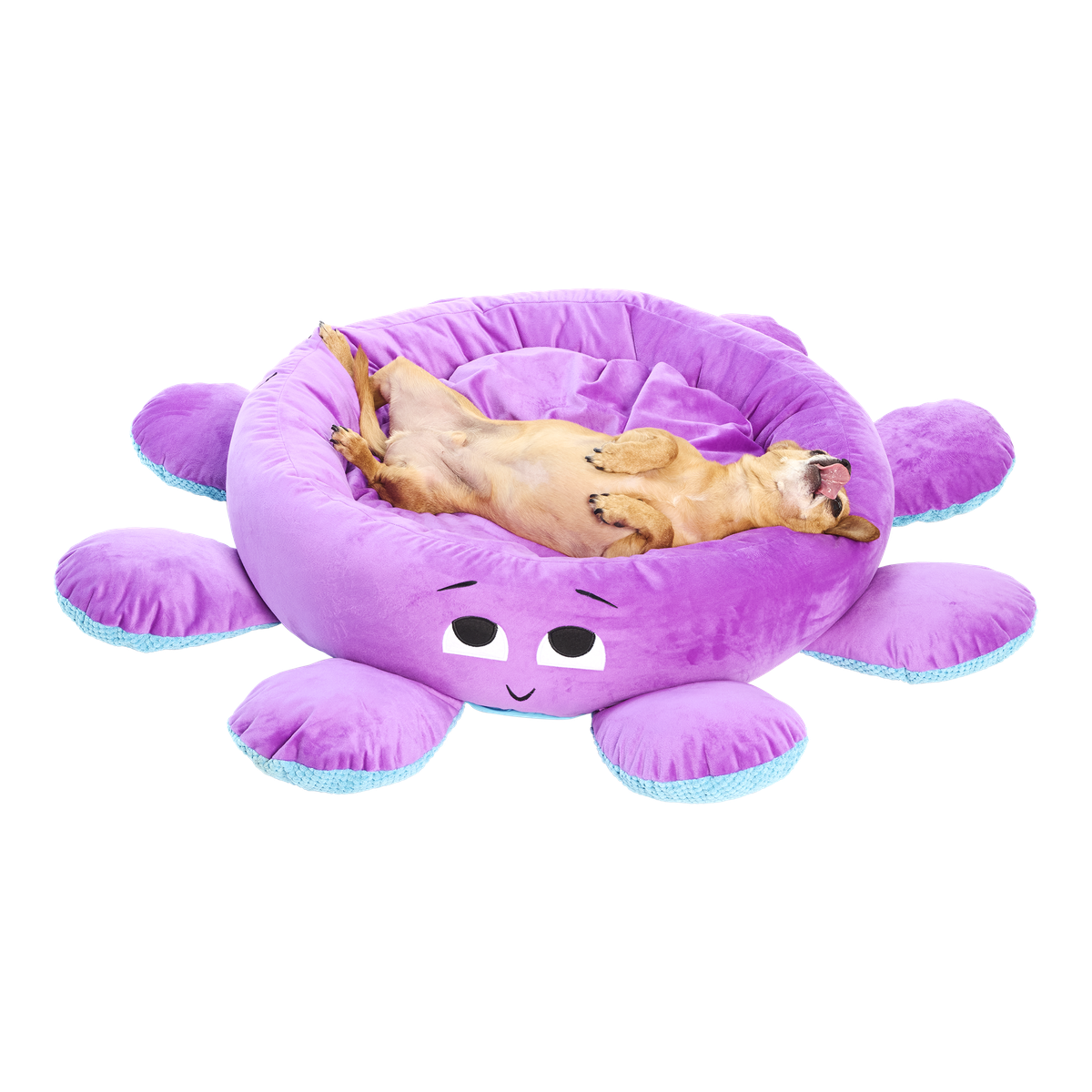 Ollie the Octopus Dog Bed