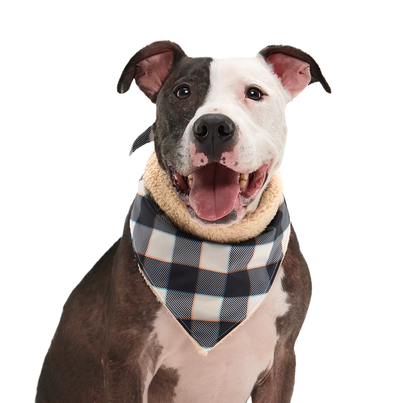 Plaid To The Bone Dog Bandana