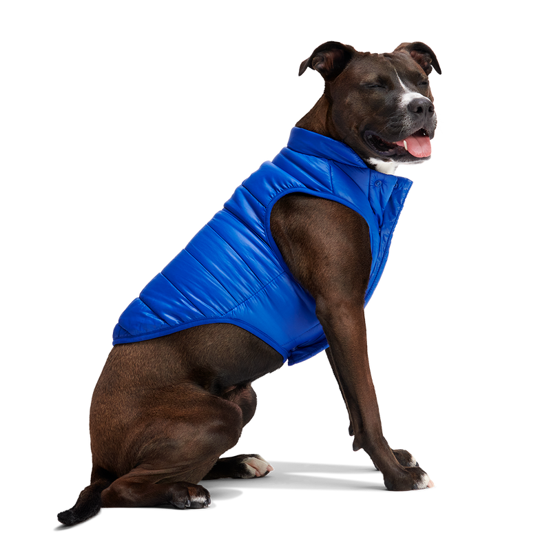 Puffer Dog Vest