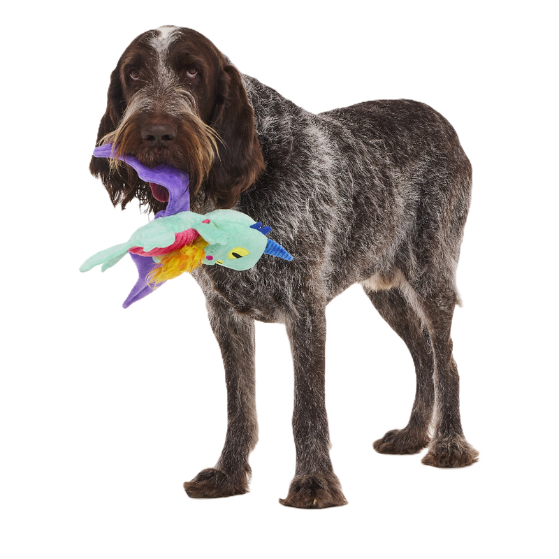 Chongus The Dragon Plush Extra-Large + Tug Dog Toy