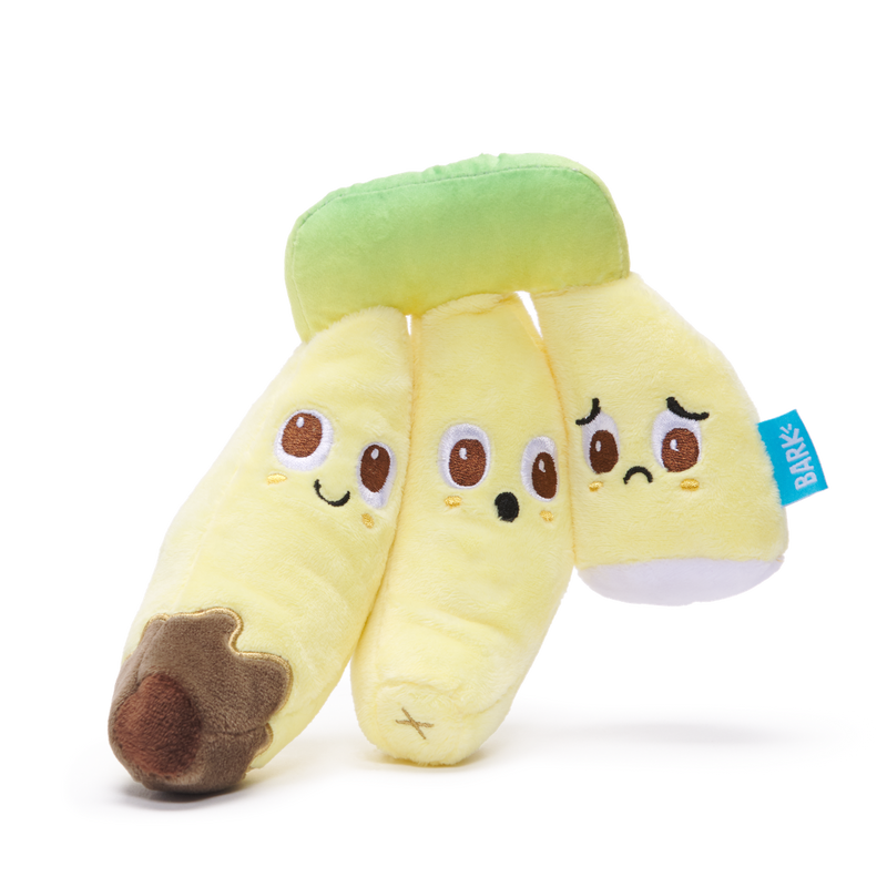 Petassium Pack Plush Tug Dog Toy