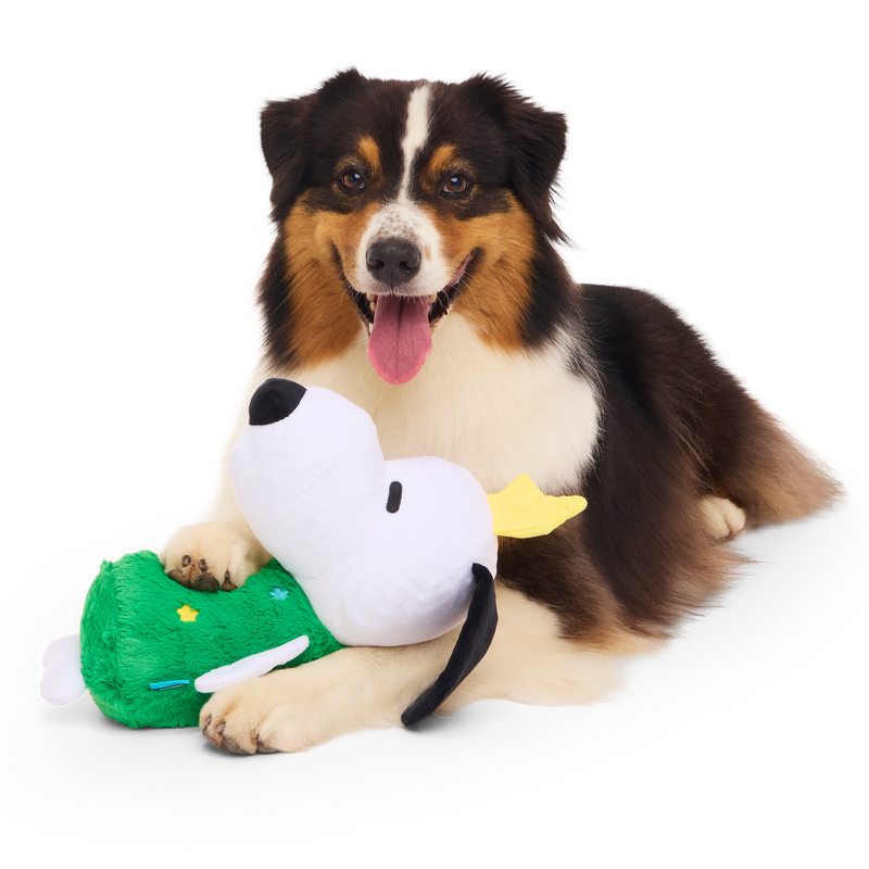 O Snoopy Tree Plush Extra-Large + Tug Dog Toy