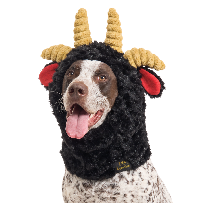 Ram Chop Snood Dog Hood