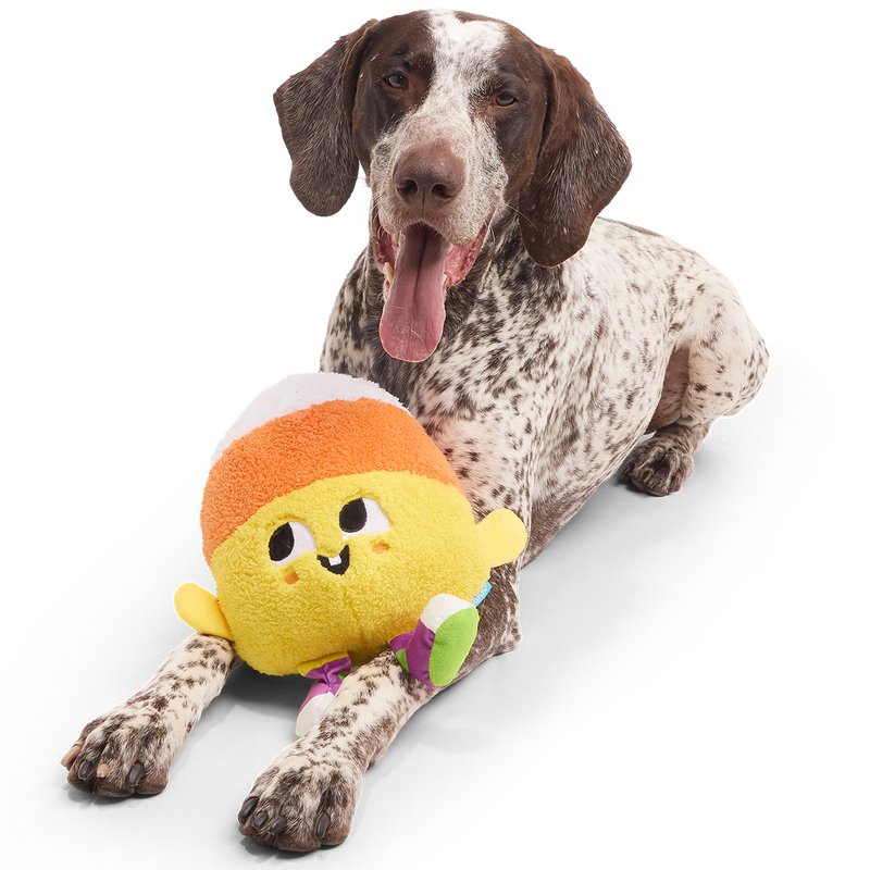 Randy Corn Plush Extra-Large + Tug Dog Toy
