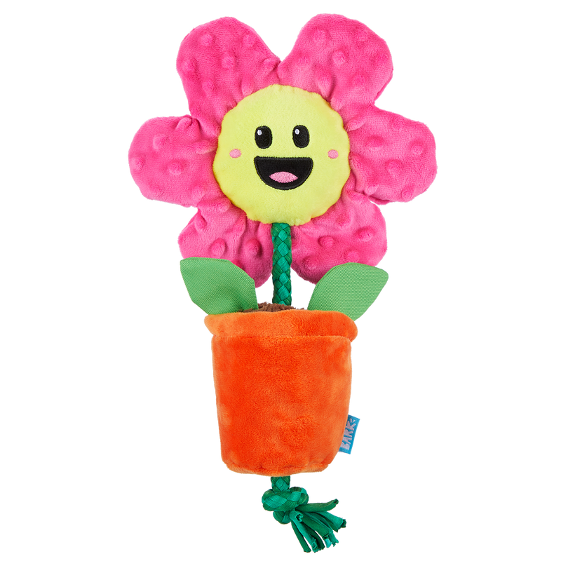 Rose the Daisy Plush Tug Dog Toy