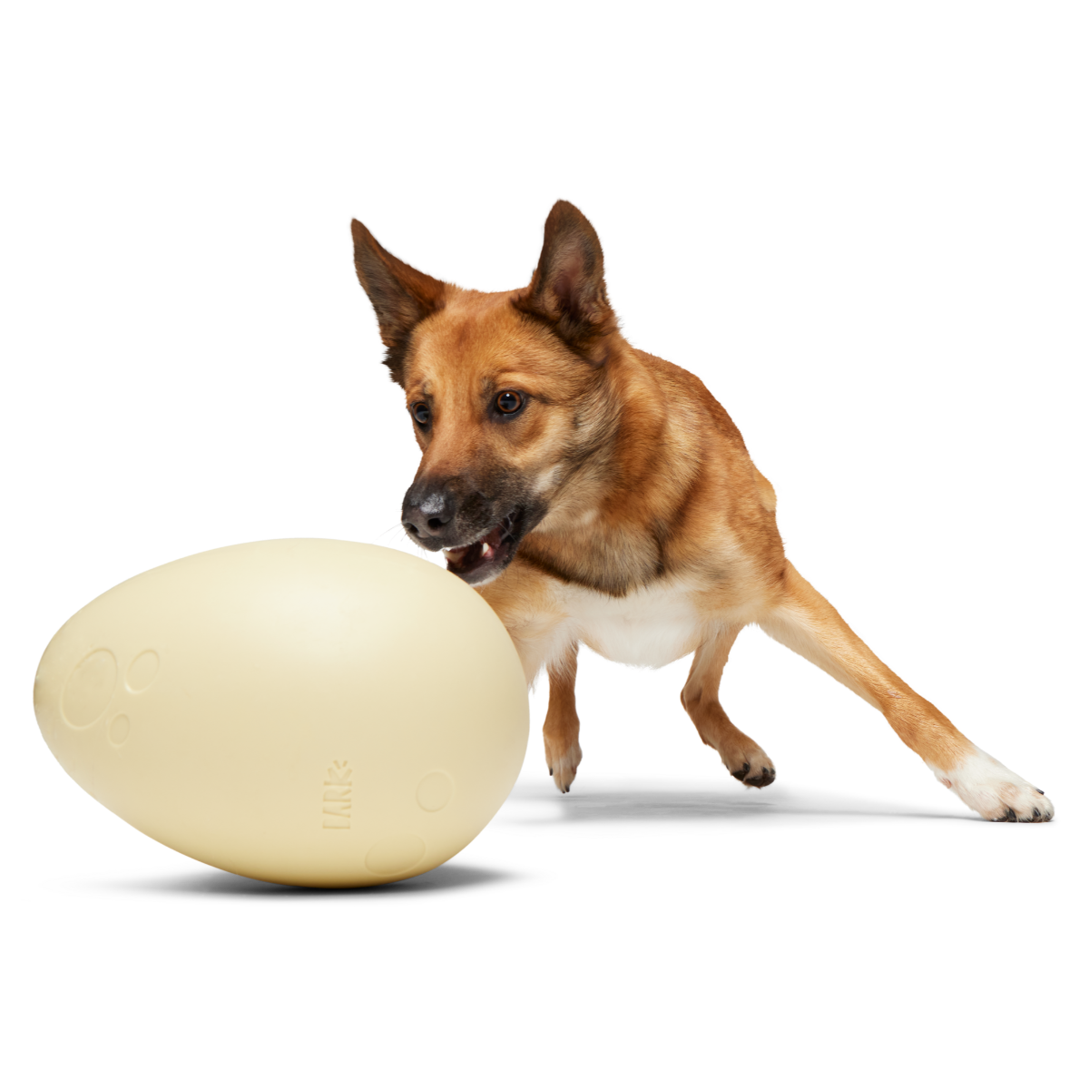 Dinosaur Egg Super Chewer Durable Extra-Large + Fetch Dog Toy