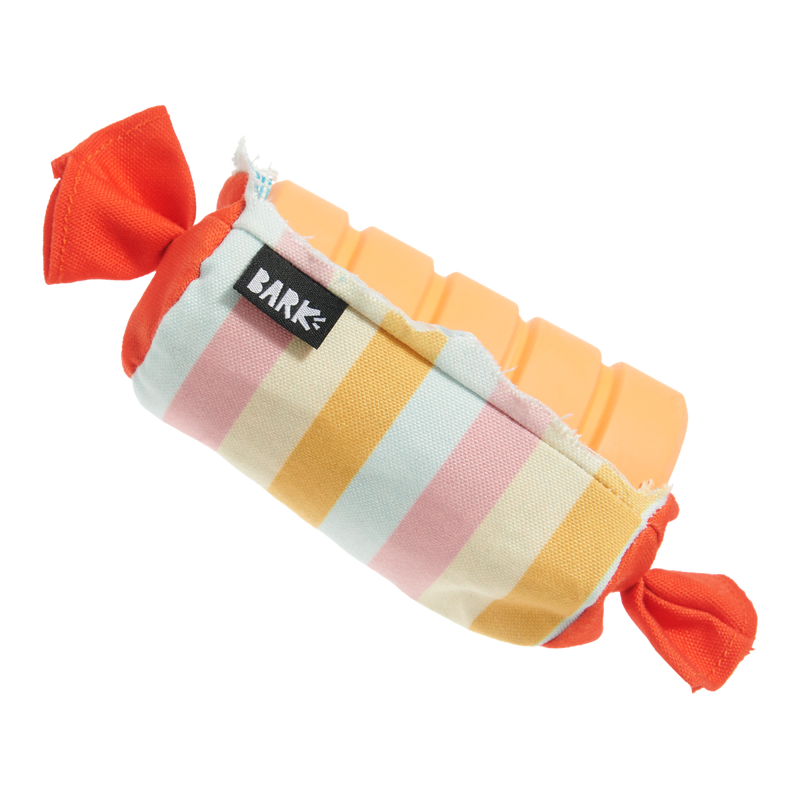 Throw-it-Alls Super Chewer Durable 2-in-1 + Enrichment Dog Toy