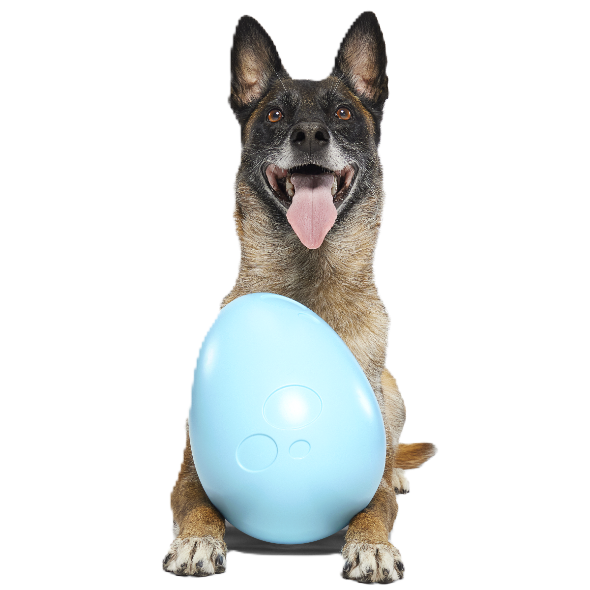 Eggstra Large Easter Egg Super Chewer Durable Extra-Large + Fetch Dog Toy