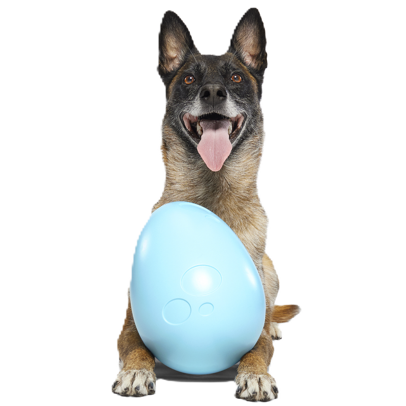 Eggstra Large Easter Egg Super Chewer Durable Extra-Large + Fetch Dog Toy