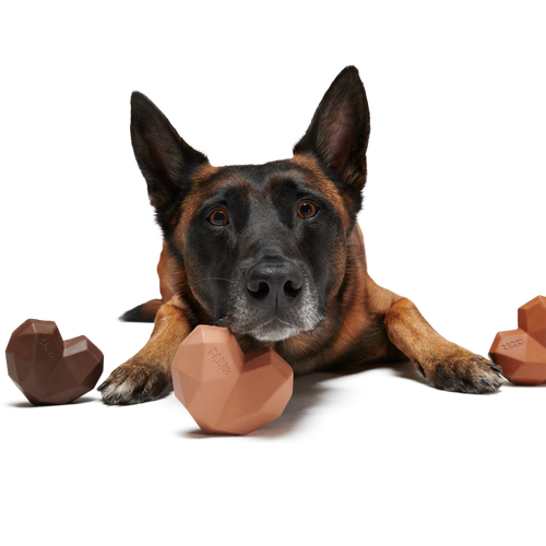 Box of Chocolicks Super Chewer Durable Multi-Part + Gnaw Dog Toy