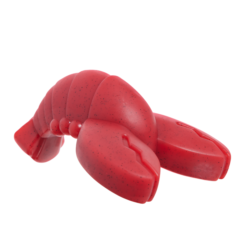 Gnawfish Super Chewer Durable Gnaw Dog Toy