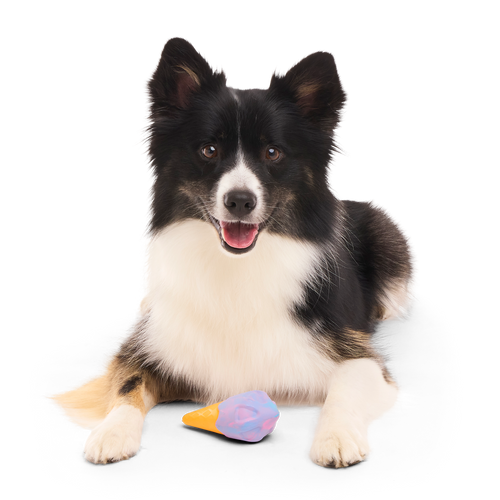 Buffberry Cone Super Chewer Durable Gnaw Dog Toy