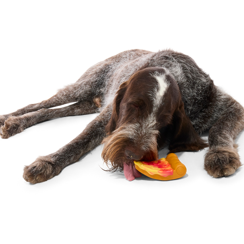 Barkaroni Slice Super Chewer Durable Gnaw Dog Toy