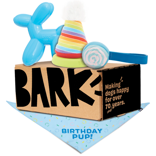 Birthday Super Chewer Box (Toy-Only) - One Month Gift Box