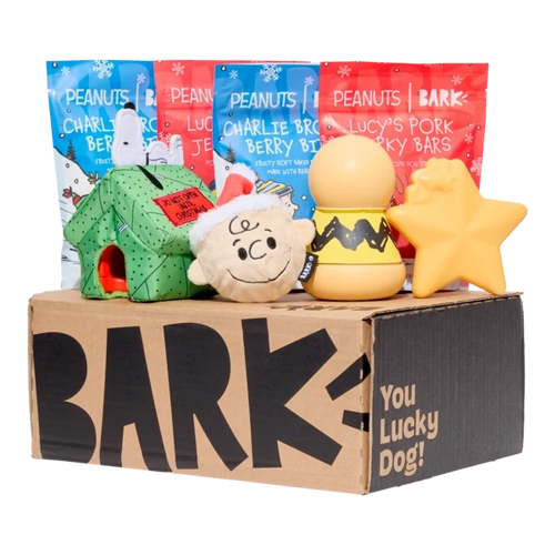 BARK 6 Month Subscription - Peanuts Double Deluxe First Box
