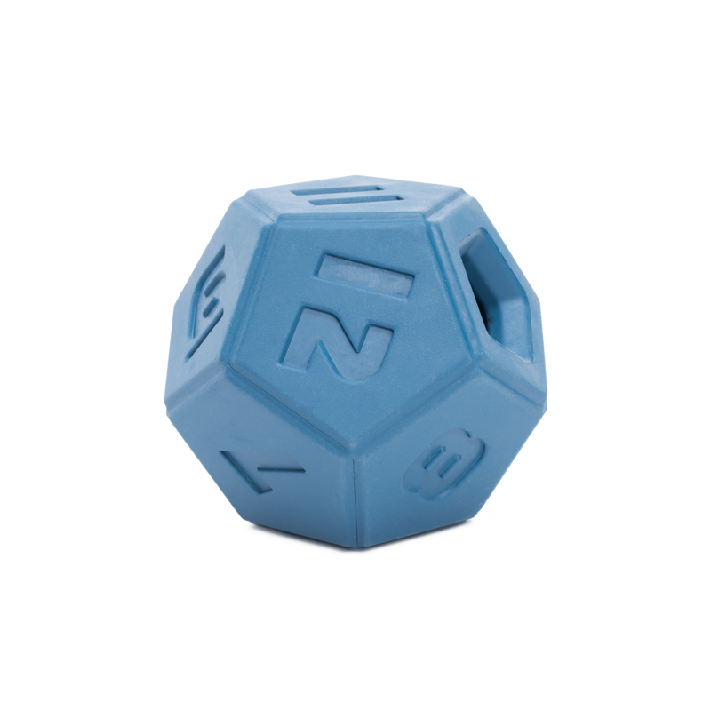 Roll + Play Dice Super Chewer Durable Fetch + Enrichment Dog Toy