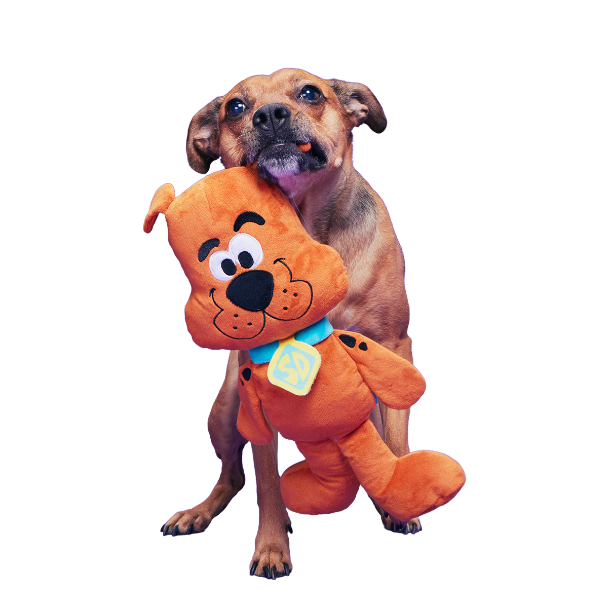 Scooby-Dooby-Doo™ Plush Extra-Large Tug Dog Toy