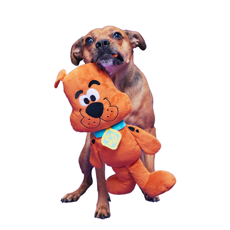 Scooby-Dooby-Doo™ Plush Extra-Large Tug Dog Toy