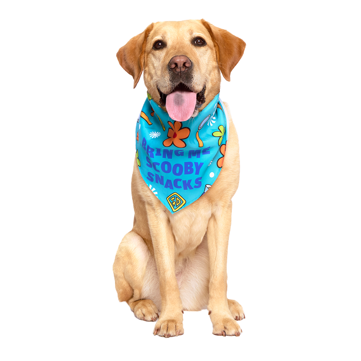 Scooby™ Snacks Dog Bandana