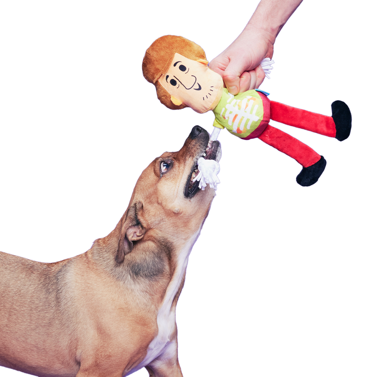 Shaggy™ Skelly Plush Extra-Large + Tug Dog Toy