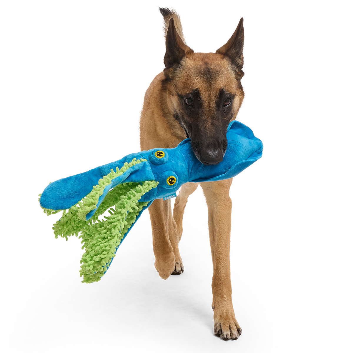 Shifty Sid the Squid Plush Extra-Large + Tug Dog Toy