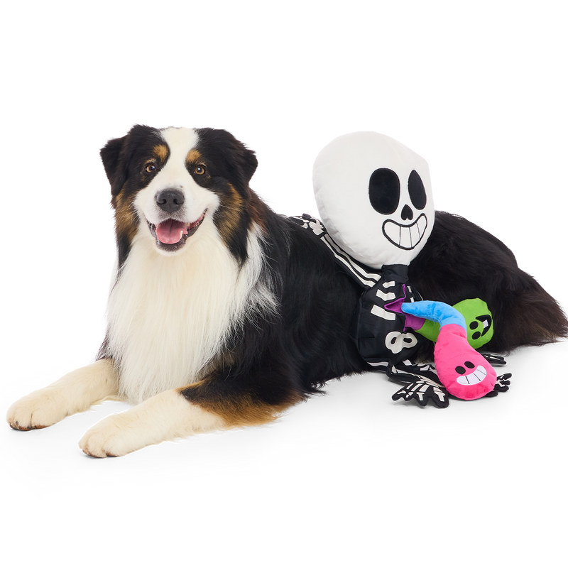 Skeleton Gnawtopsy Plush XXL Multi-Part + Tug + Enrichment Dog Toy
