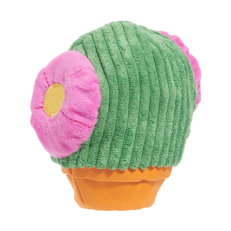 Snactus Super Chewer Durable 2-in-1 + Enrichment Dog Toy