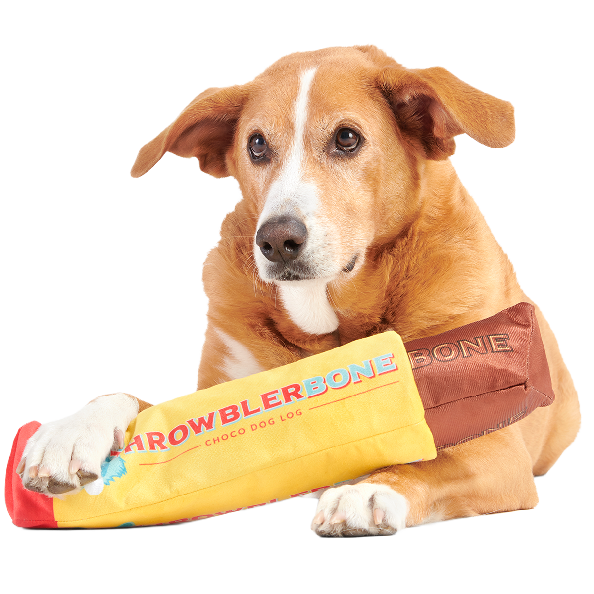 ThrowblerBone Plush Extra-Large + Multi-Part + Enrichment Dog Toy