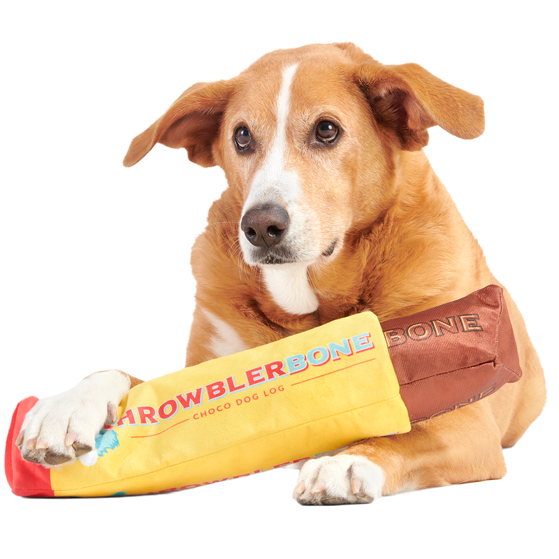 ThrowblerBone Plush Extra-Large + Multi-Part + Enrichment Dog Toy