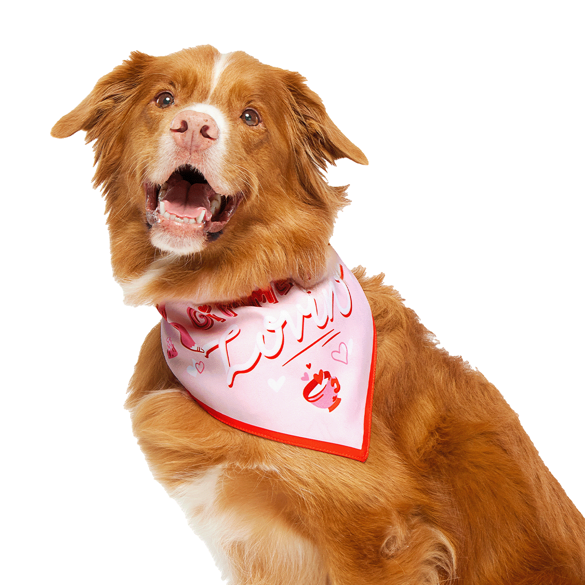 Valentine's Day Dog Bandana