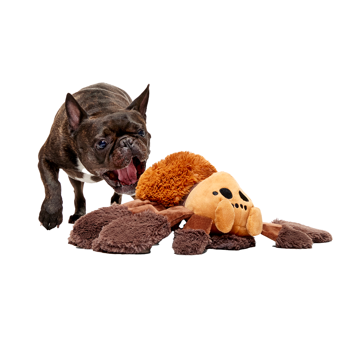 Aragog™ Plush Extra-Large + Tug Dog Toy