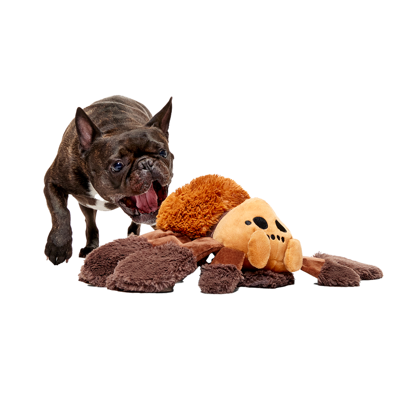 Aragog™ Plush Extra-Large + Tug Dog Toy