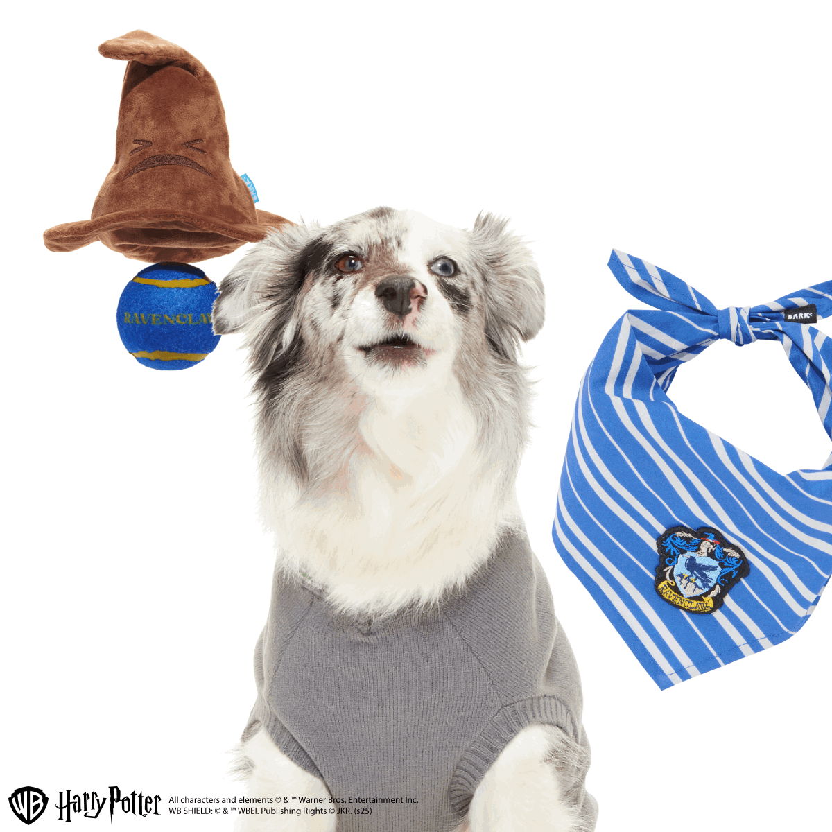 Ravenclaw™  Bundle