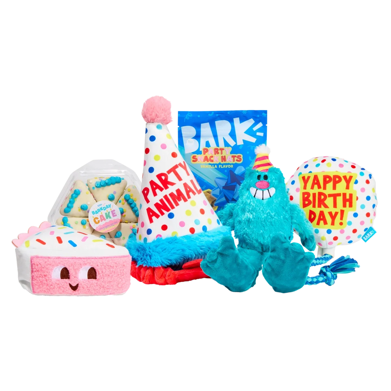 BARK 12 Month Subscription - The Birthday Box Double Deluxe First Box