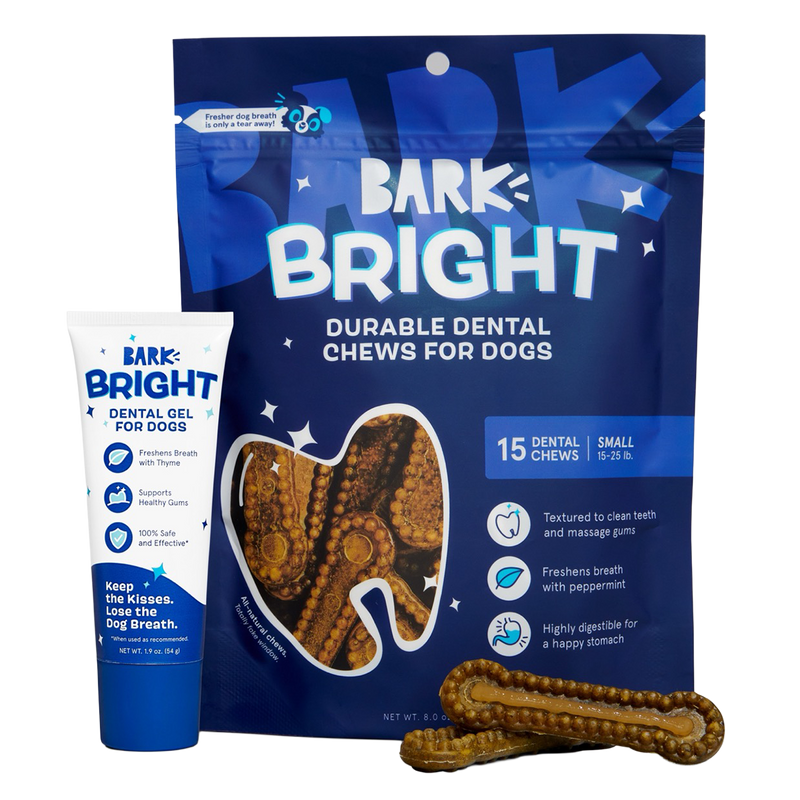 Bright Durable Dental Kit, 15 Ct Chews + Toothpaste