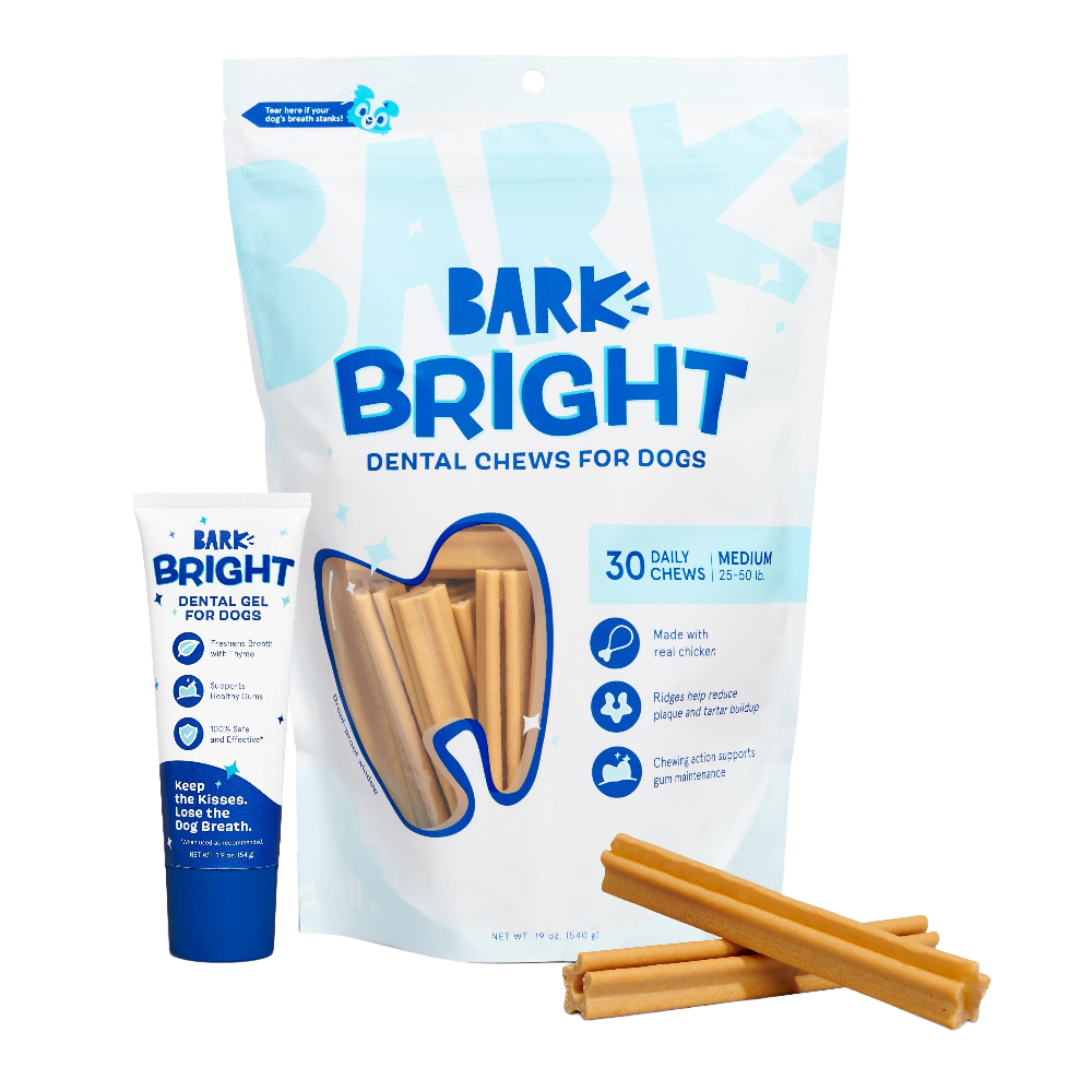 Bright Original Dental Kit, 30 Ct Chews + Toothpaste